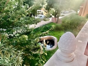 Villa in vendita in via Milano_Cagliari